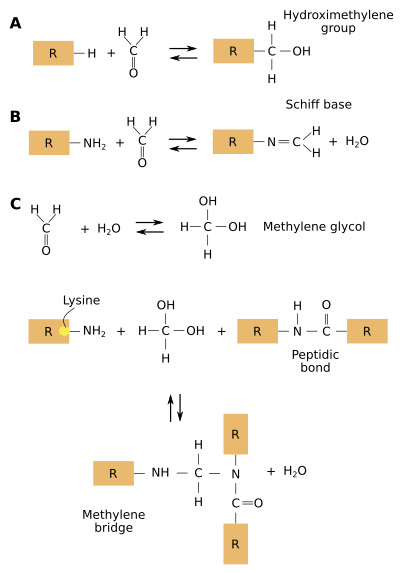 Formaldheyde reactions