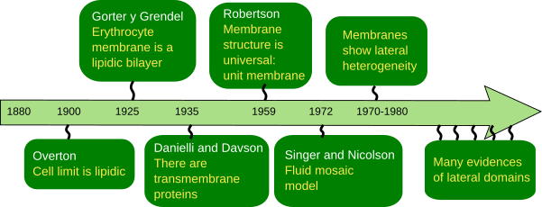 The Cell More Information Membrane Models Atlas Of Plant And Animal Histology