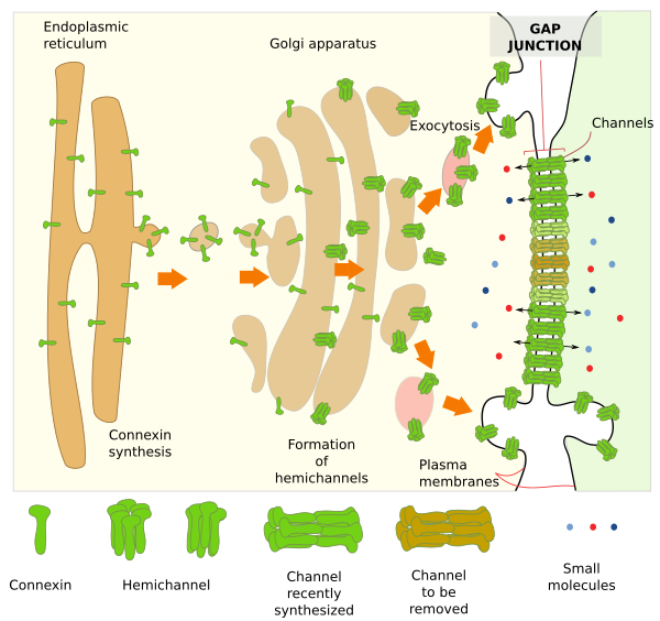 Brown et al