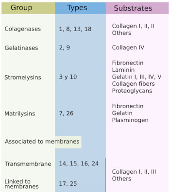 Metaloproteinases