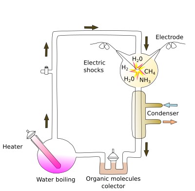 Miller-Urey experiment