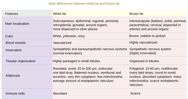 Table, fat features