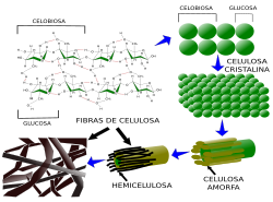 Fibras de celulosa