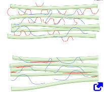 Cellulose fibers